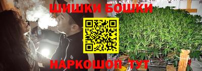 индика Кулебаки