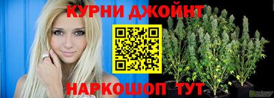 индика Кулебаки