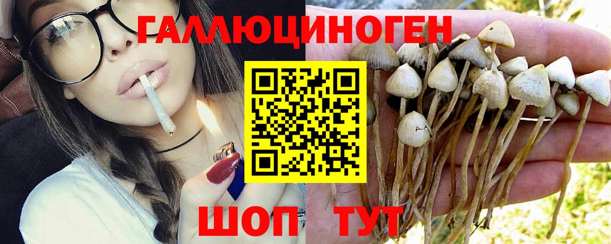 Галлюциногенные грибы MAGIC MUSHROOMS  Вход с VPN  Камень-на-Оби 