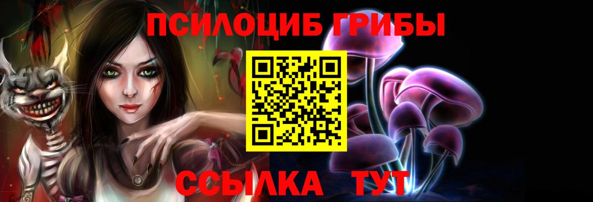 Псилоцибиновые грибы Psilocybine cubensis Камень-на-Оби